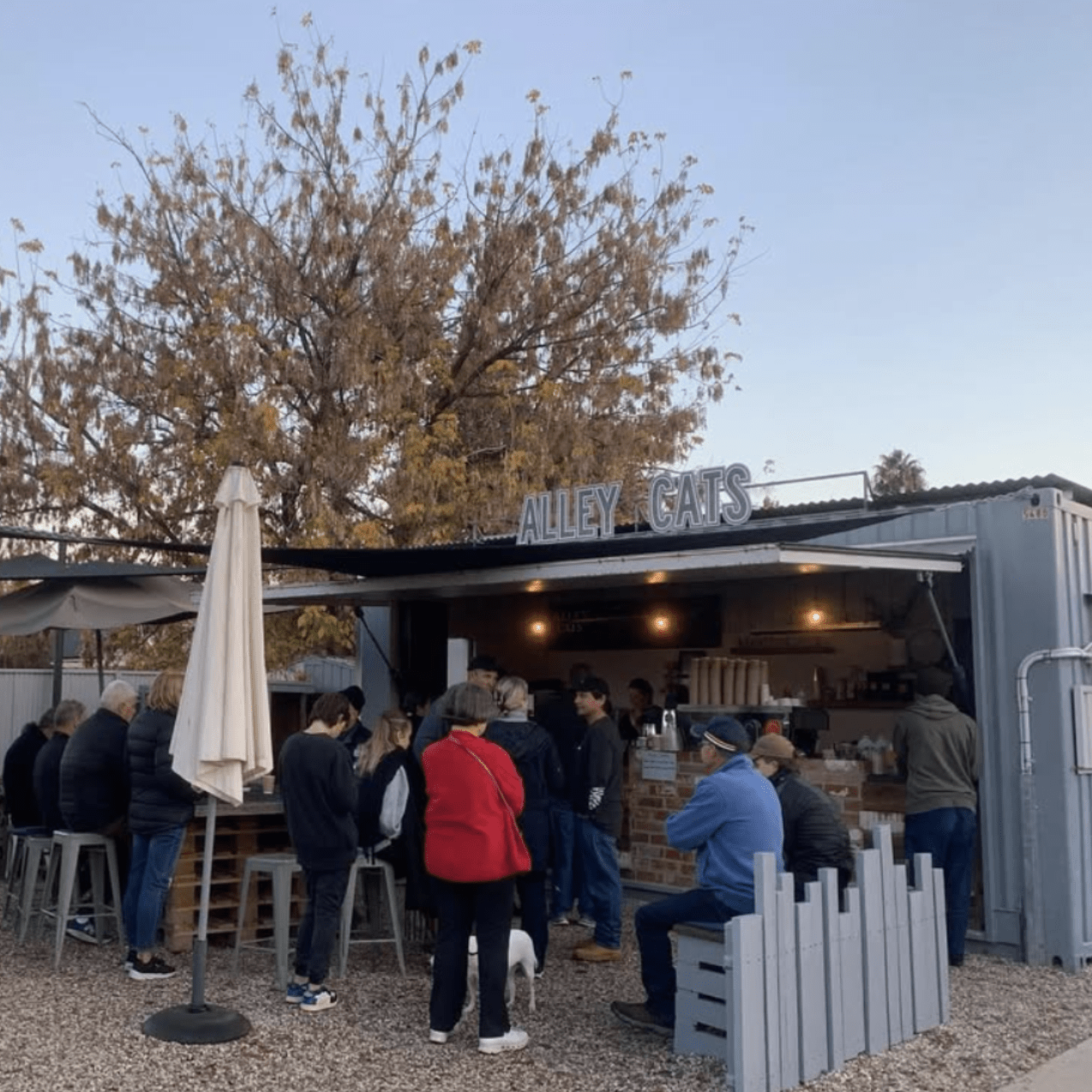 eating travel ebikes amp lane